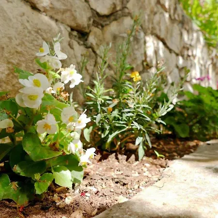 Milena Near The Apartman Trogir